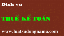 Dich vu t­u van thue ke toan